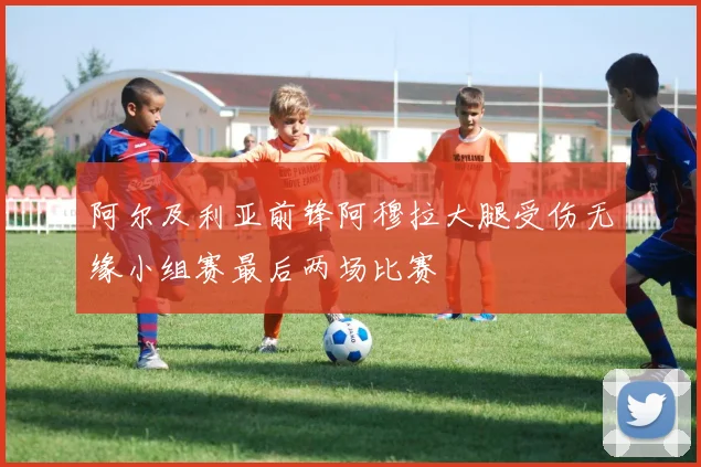 阿尔及利亚前锋阿穆拉大腿受伤无缘小组赛最后两场比赛